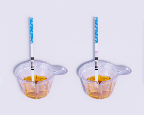 Amphetamine (AMP) Rapid Test Kit (Urine)