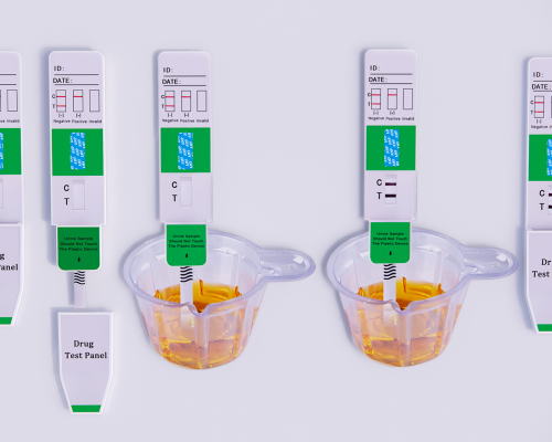 Amphetamine (AMP) Rapid Test Kit (Urine)
