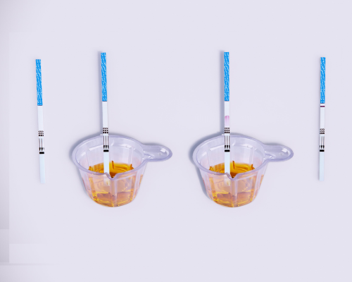 Norfentanyl (NFYL) Rapid Test Kit (Urine)
