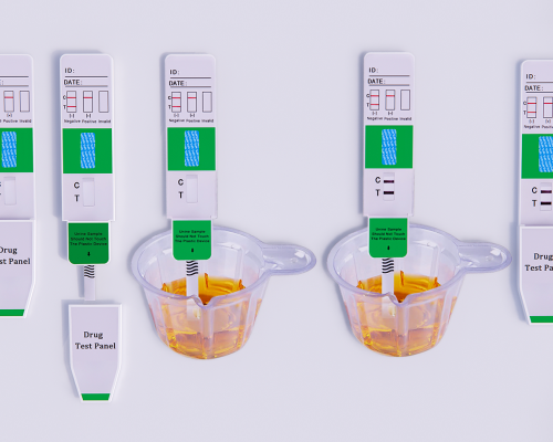 Norfentanyl (NFYL) Rapid Test Kit (Urine)