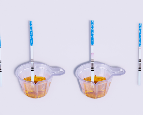 Opiates (OPI) Rapid Test Kit (Urine)
