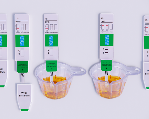 Phencyclidine (PCP) Rapid Test Kit (Urine)