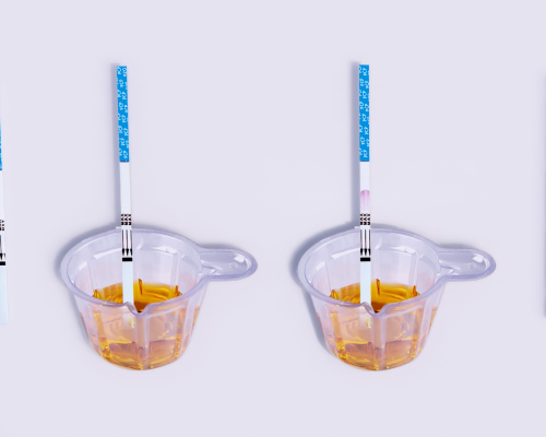 Phencyclidine (PCP) Rapid Test Kit (Urine)