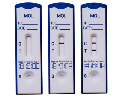 Methaqualone(MQL) Rapid Test Kit (Saliva)