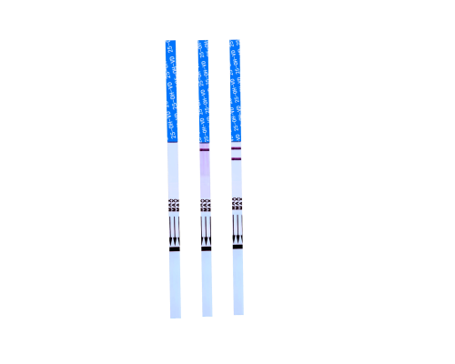 25-OH-VD Rapid Test Kit