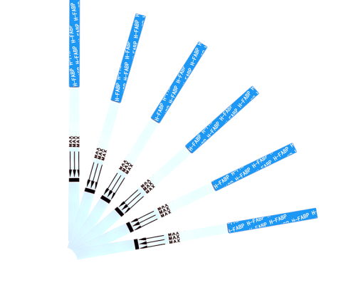 H-FABP Rapid Test Kit