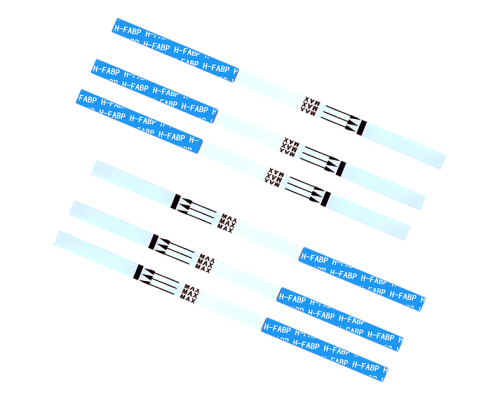 H-FABP Rapid Test Kit