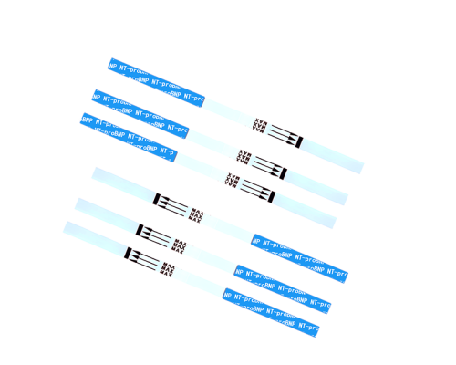 NT-proBNP Rapid Test Kit 