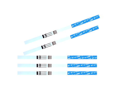 NT-proBNP Rapid Test Kit 