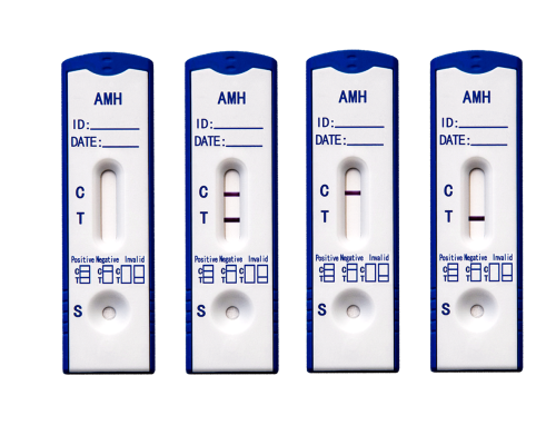 Anti-Müllerian Hormone (AMH) Rapid Test Kit