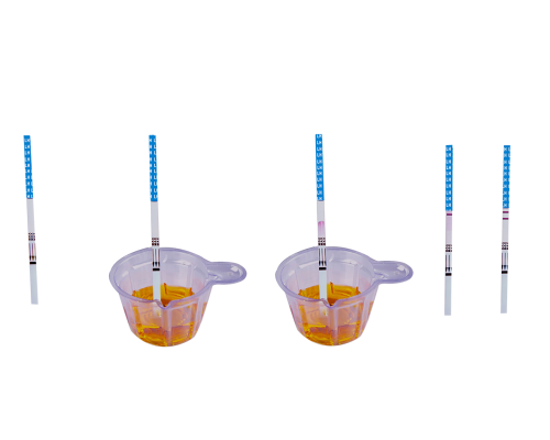 Luteinizing Hormone (LH) Ovulation Rapid Test Kit