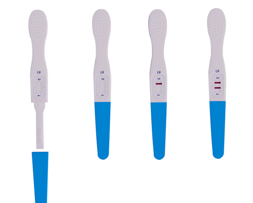 Luteinizing Hormone (LH) Ovulation Rapid Test Kit
