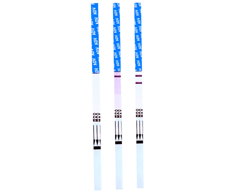 Adenovirus (ADV) Rapid Test Kit (Feces)
