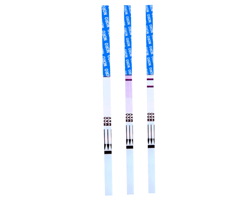 Norovirus (NORO) Rapid Test Kit