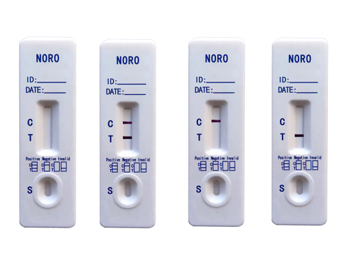 Norovirus (NORO) Rapid Test Kit