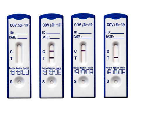 COVID-19 Rapid Test Kit.