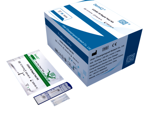 COVID-19 Rapid Test Kit.