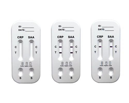 C-Reactive Protein (CRP) Rapid Test Kit.