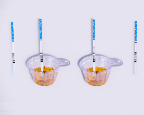 Tramadol (TML) Rapid Test Kit (Urine)