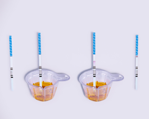 Methamphetamine (MET) Rapid Test Kit (Urine)