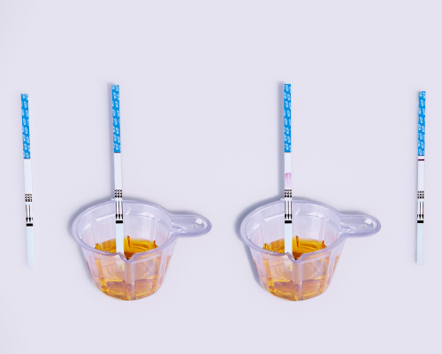 Morphine (MOP) Rapid Test Kit (Urine)