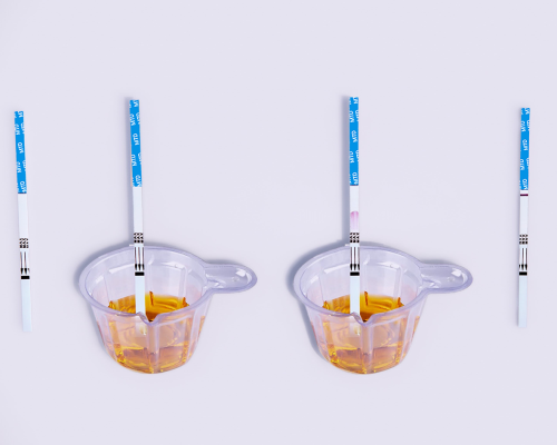Methadone (MTD) Rapid Test Kit (Urine)