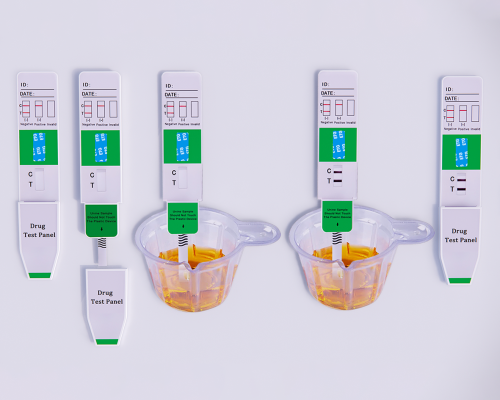 Ethyl Glucuronide (ETG) Rapid Test Kit (Urine)