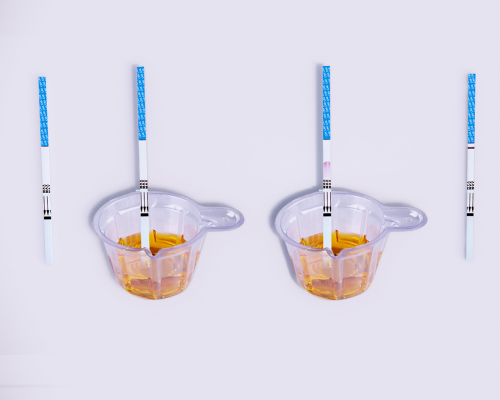Carisoprodol (CAR) Rapid Test Kit (Urine)