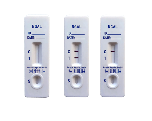 NGAL Rapid Test Kit