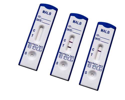 Microalbumin (MALB) Rapid Test Kit