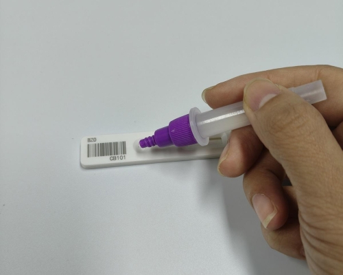 Manual Helicobacter Pylori Antigen Diagnostic Kit CE Approved Immunochromatographic Assay Cassette