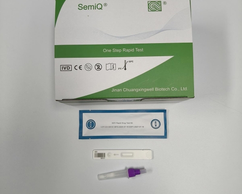 Manual Helicobacter Pylori Antigen Diagnostic Kit CE Approved Immunochromatographic Assay Cassette