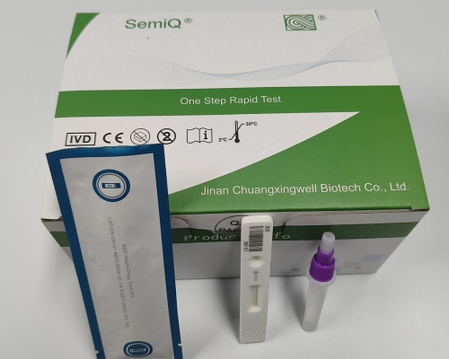 Manual Helicobacter Pylori Antigen Diagnostic Kit CE Approved Immunochromatographic Assay Cassette