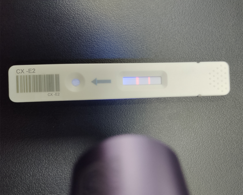 E2 Plug-In Power Supply Rapid Diagnostic Test Kits for Fertility Ovarian Function CE Certified Class II 